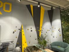 Rock Climbing Wall Display