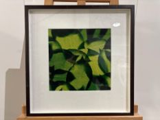 Leaf Artwork Framed