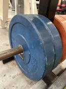 Two 20Kg Bumper Plates (Blue)