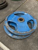 Two 20KG Jordan Steel Plates (Blue)