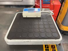 Salter 325 Weighing Scales, No Reserve
