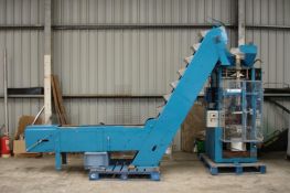 Maidstone VFFS Machine With Bucket Elevator Feed