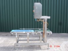 S/S Transfer Conveyor