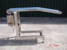 S/S Transfer Conveyor