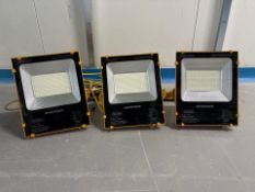 3 Blakley LED Floodlights 150W