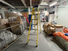 Seven Rung Ladder