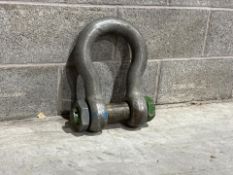 Bow Shackle Alloy 55T A691326