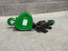 Tiger 3 Ton 3m Chain Block INT5107857