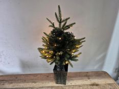 60cm traditional warm white lit Firefly Tree in pot