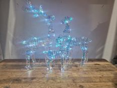 2D Holographic Deer Family