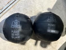 Pair Of 4.5kg Exercise Balls