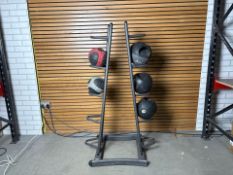 Physical Ball Stand and Balls