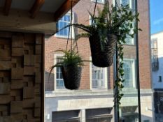 Faux Fauna Hanging Baskets x2