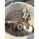 Belle PM38 Premier Site Mixer Yanmar L40 engine year of manufacture 2017 serial number: PM38207821 - Image 5 of 9
