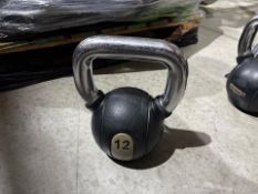 Technogym 12kg Kettlebell