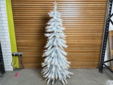 6FT Fiber Optic