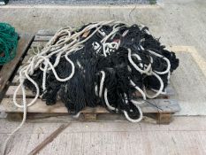 Black Netting