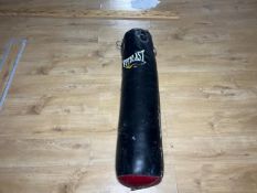 Everlast Punch Bag