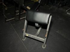 Blue And Black Metal Preacher Curl