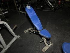 Blue Adjustable Metal Bench