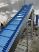 Infeed elevator