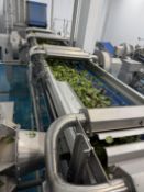 De-watering conveyor belt
