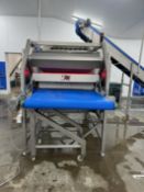 Raytec optical sorter