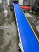 Packs conveyor