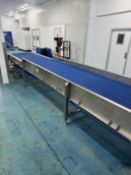 Conveyor belt