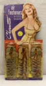 Pin-Up Girl Car Air Freshener Display