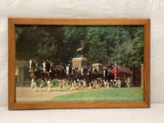 1960 Budweiser Clydesdale Team Framed Print