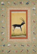 TWO PORTRAITS AND A DEPICTION OF AN ANTELOPE, INDIA, 20TH CENTURY