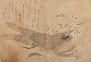 Circle of Utamaro Kitagawa (c.1753-1806) Japanese. Insect Studies, Watercolour and ink on joined