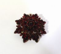 Granatbrosche