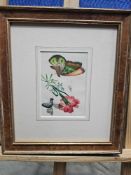 A Chinese Pith Painting The Illustration Features A Vibrant Butterfly With Green, Brown, And