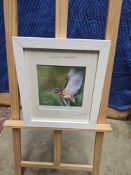 Kingfisher Of South Africa Print Of Working Sketch Signed Rick Lewis ARA Glazed And Framed 30 X