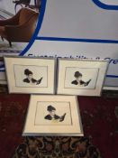 A set of 3 framed prints 54 x 44cm Ref 052