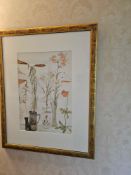 A framed print titled 'Lilies and Passion Flower' by Elizabeth Blackadder, depicting a still life