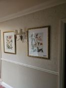 A pair of contemporary botanical prints, each presented under glass with a white mat within a gold-