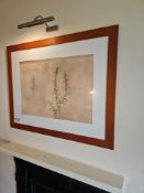 A framed botanical illustration depicting multiple sprigs of rosemary, executed in a naturalistic