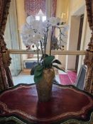 A large artificial Phalaenopsis orchid arrangement, featuring numerous white blooms, buds, dark