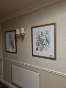 A pair of contemporary botanical prints, each presented under glass with a white mat within a gold-
