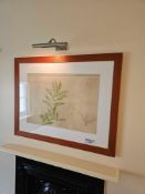 A framed botanical illustration depicting multiple sprigs of bay, executed in a naturalistic style