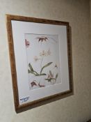 A pair of contemporary botanical prints, each presented under glass with a white mat within a gold-