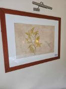 A contemporary framed botanical print depicting a flowering plant with green leaves and small