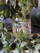 Garden mirror 60 x 100cm (Location Terrace)