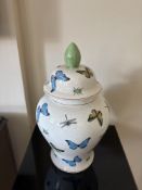 India Jane ceramic temple jar 43cm ( Location 305)