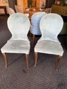 A pair of contemporary dining chairs upholstered in a velvet face fabric with a pattern back wrap