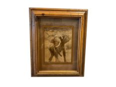 1976 LUCID LINES ELEPHANT ART ON GLASS BY D. CURRY