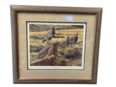 FRED BOYCE PROLIFIC NEVADA WILDLIFE ARTIST LIMITED EDITION PRINT QUAILS POINT OF VIEW NO. 159/500